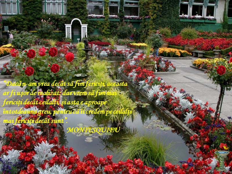 “Dacă n-am vrea decât să fim fericiţi, aceasta ar fi uşor de realizat: dar